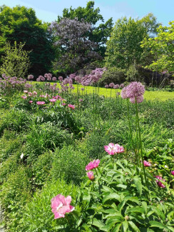 blühender Garten