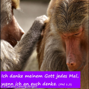 Fastenkalender 25.02