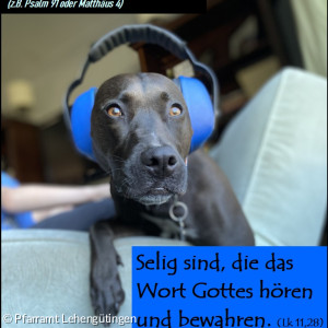 Fastenkalender 26.02.