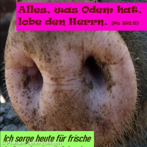 Fastenkalender 27.02