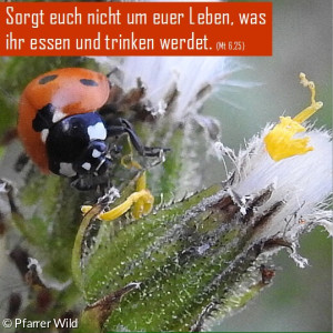 Fastenkalender 06.03.