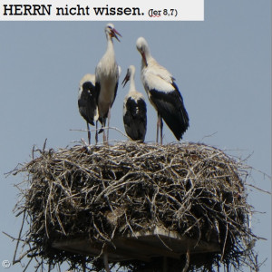 Fastenkalender 08.03.