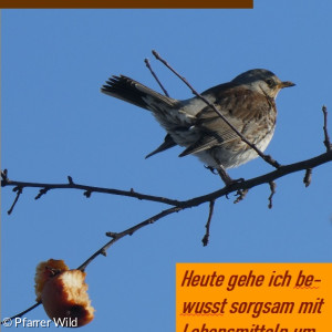 Fastenkalender 09.03.