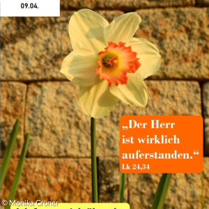 Fastenkalender 09.04